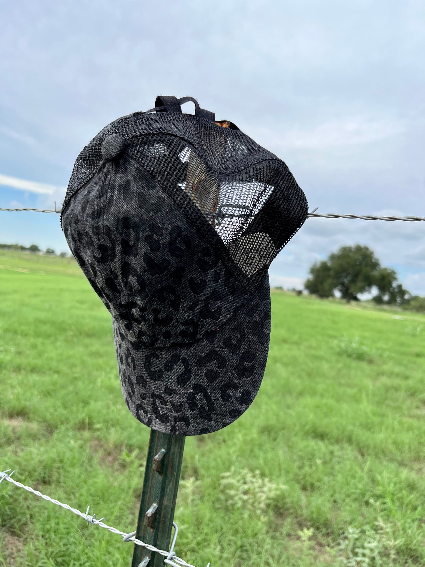 Black Leopard Cap with Pony Tail